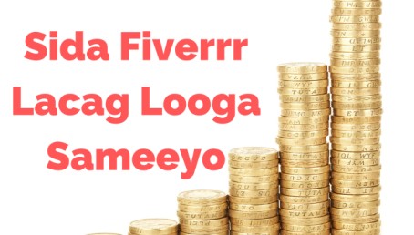 SIDA FIVERR LACAG LOOGA SAMEEEYO