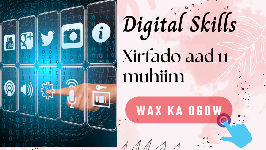 DIGITAL SKILLS XIRFADAHA UGU MUHIIMSAN